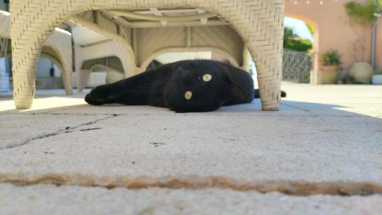 Willa Le Zagare Di Vendicari Lido di Noto Zewnętrze zdjęcie