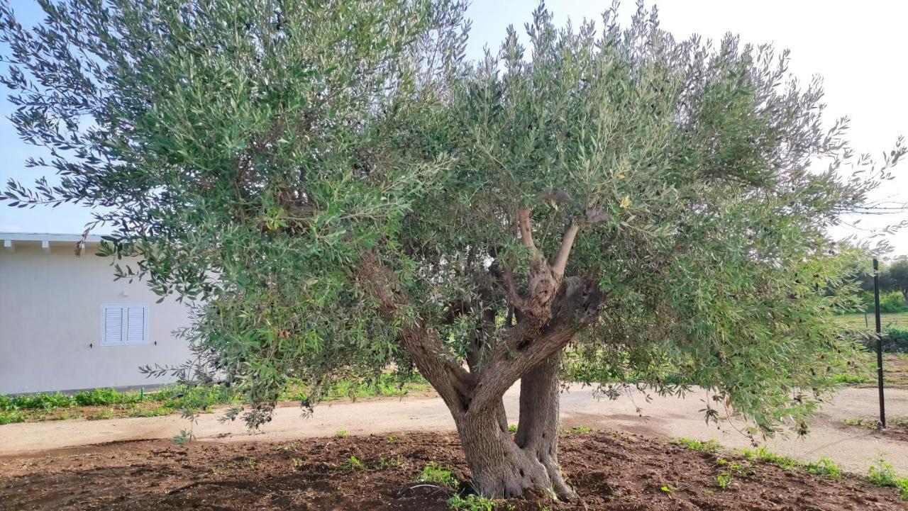 Willa Le Zagare Di Vendicari Lido di Noto Zewnętrze zdjęcie
